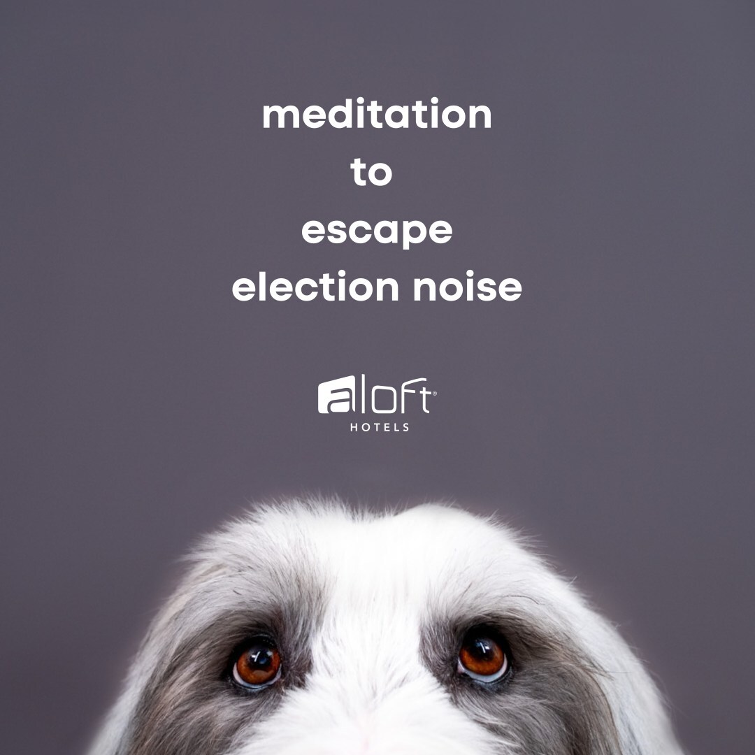 Aloft Hotels Ease anxiety