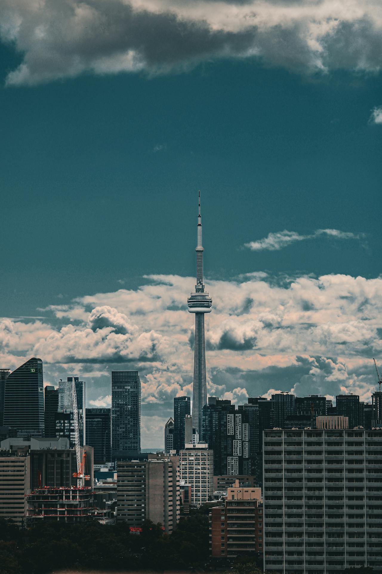 Scenic View of Toronto Skyline Featuring CN Tower. Photo by Aidan Hunnisett: https://www.pexels.com/photo/scenic-view-of-toronto-skyline-featuring-cn-tower-35551344/